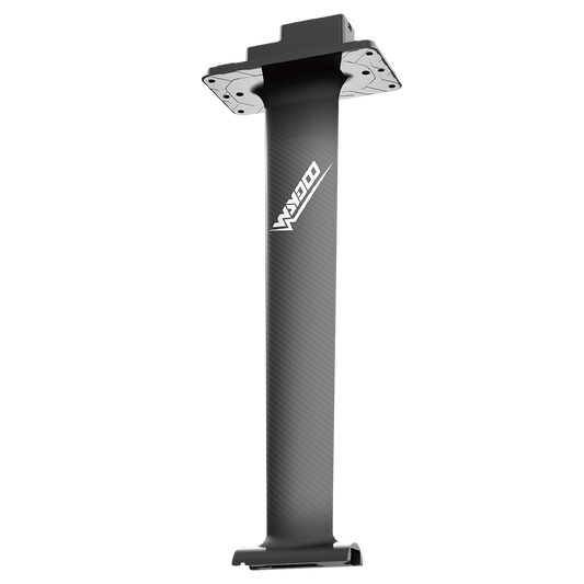 Evo 79cm (31") Mast - Carbon Fiber